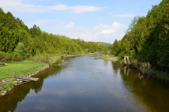 A calm river bordered by green trees beneath a blue sky.